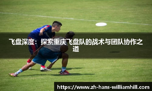 飞盘深度：探索重庆飞盘队的战术与团队协作之道
